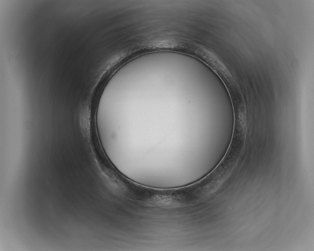 X0000112430534200908141433