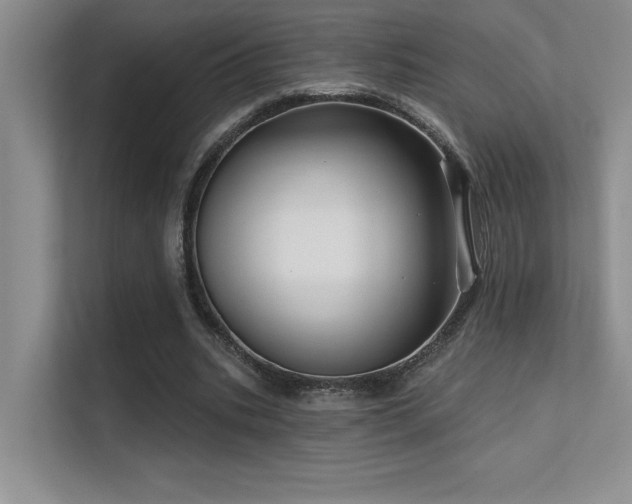 X0000112430535200908141433