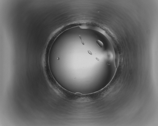 X0000112430536200908141433