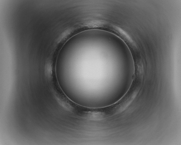 X0000112430539200908141433