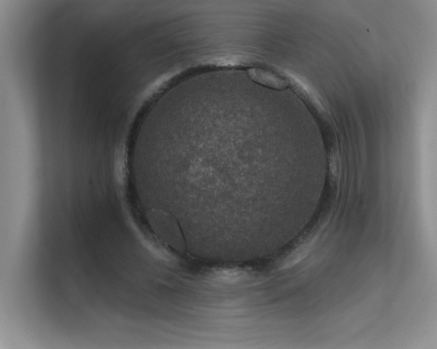 X0000112430540200908141433