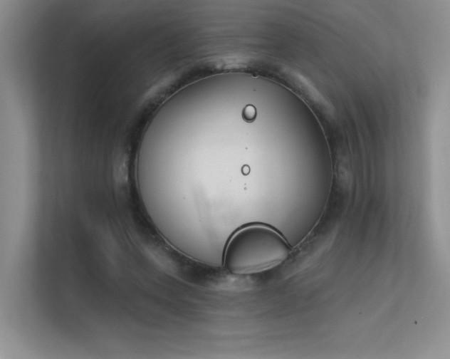 X0000112430543200908141433