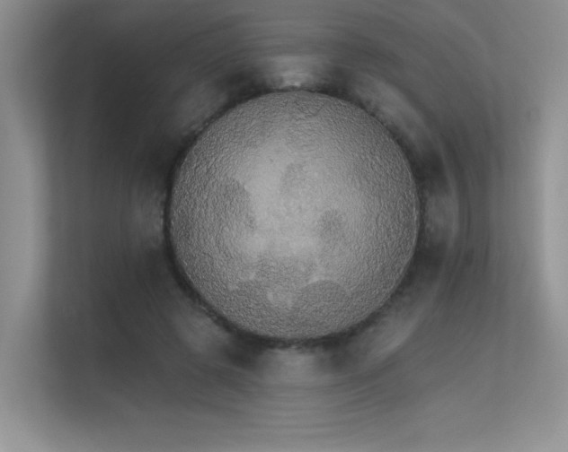 X0000112430545200908141433