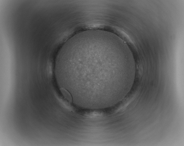 X0000112430546200908141433