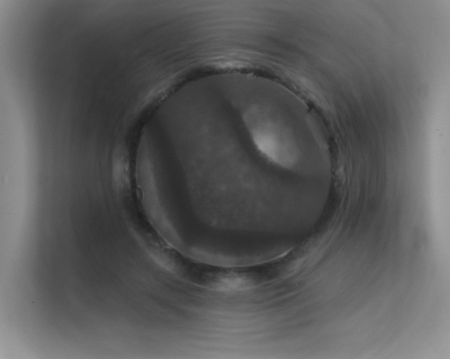 X0000112430547200908141433