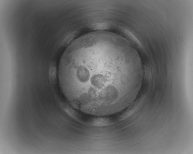 X0000112430549200908141433