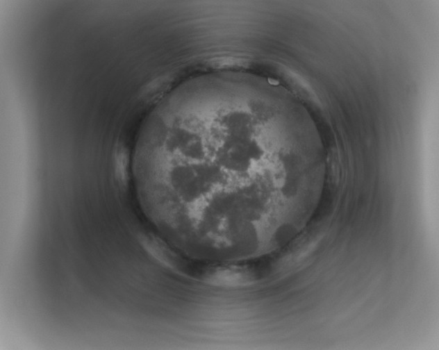 X0000112430550200908141433