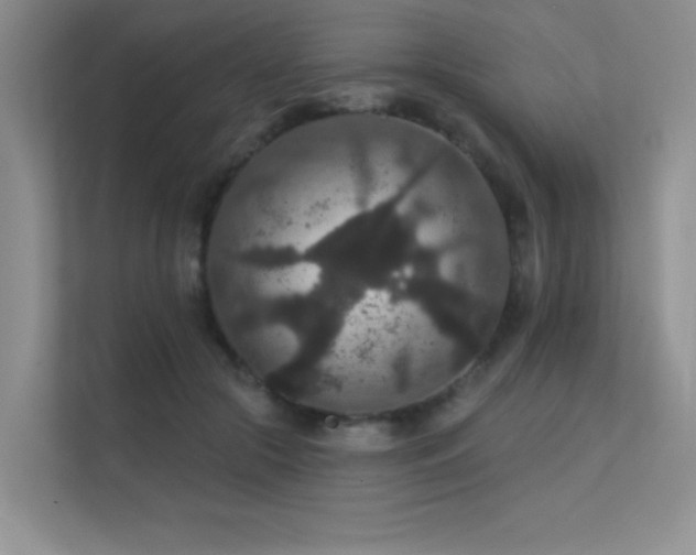 X0000112430553200908141433