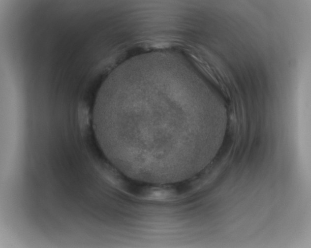 X0000112430555200908141433