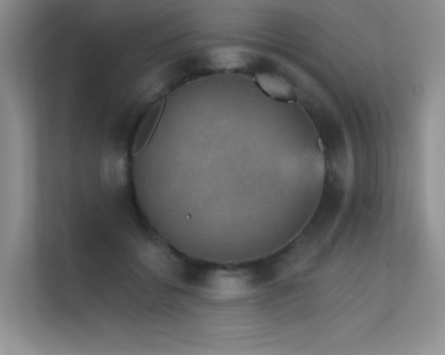 X0000112430556200908141433