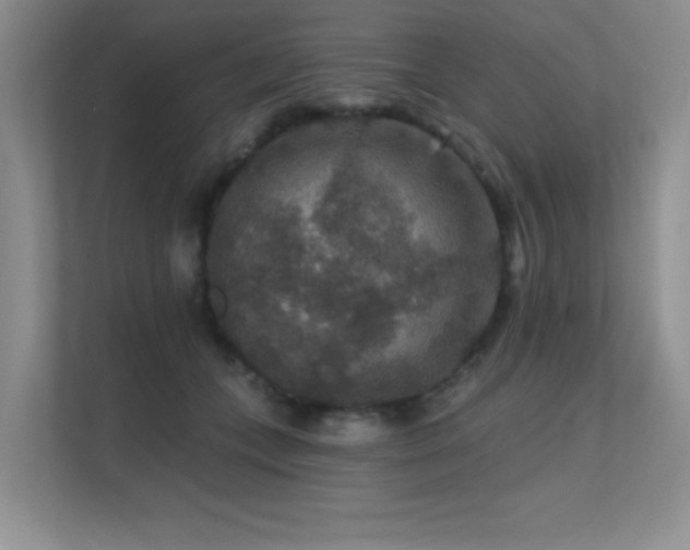 X0000112430559200908141433
