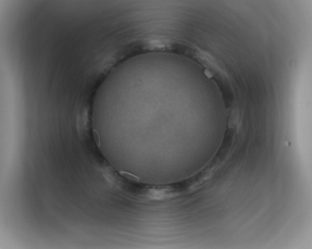 X0000112430560200908141433
