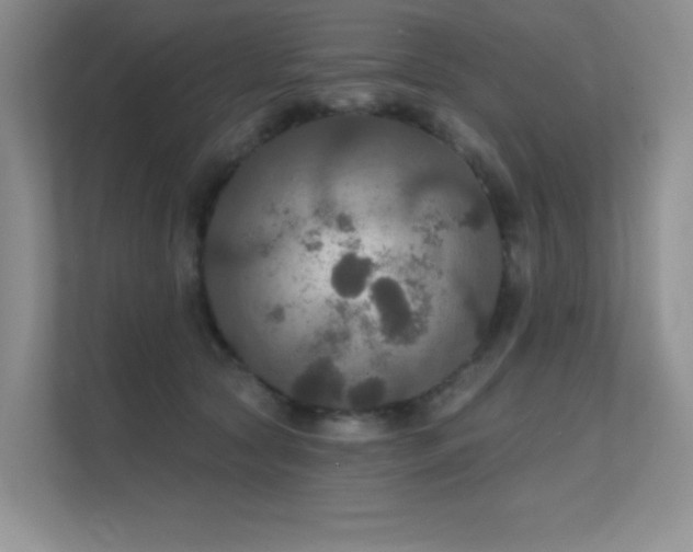 X0000112430561200908141433