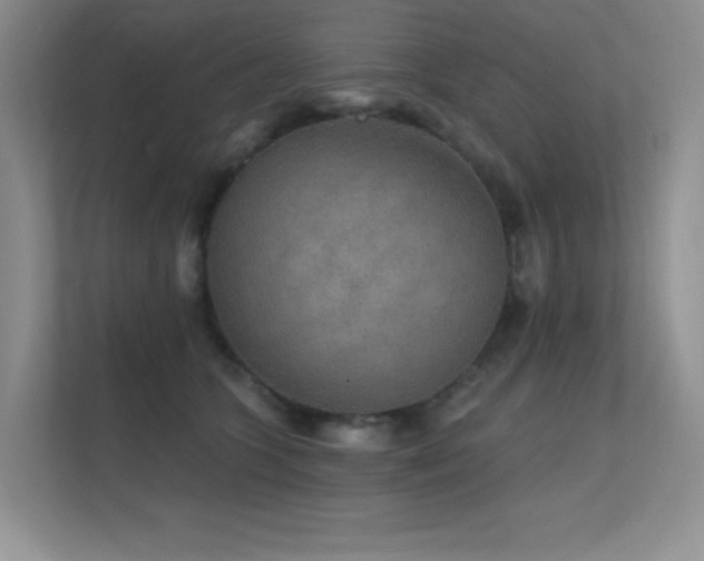 X0000112430563200908141433