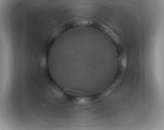 X0000112430564200908141433