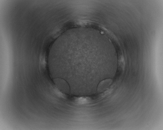 X0000112430566200908141433