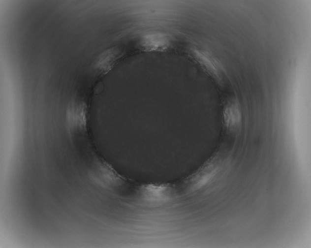X0000112430570200908141433