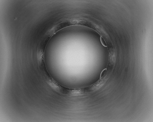 X0000112430574200908141433
