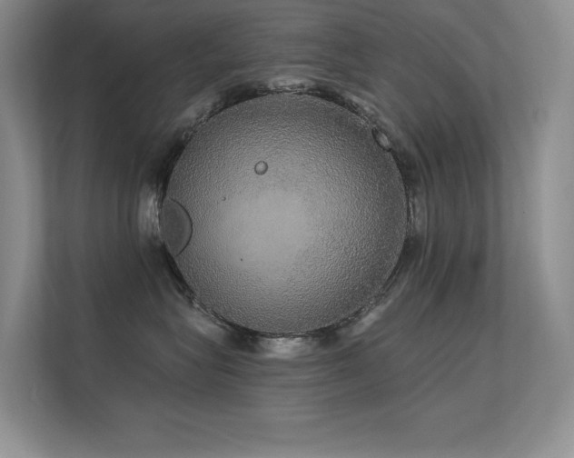 X0000112430575200908141433