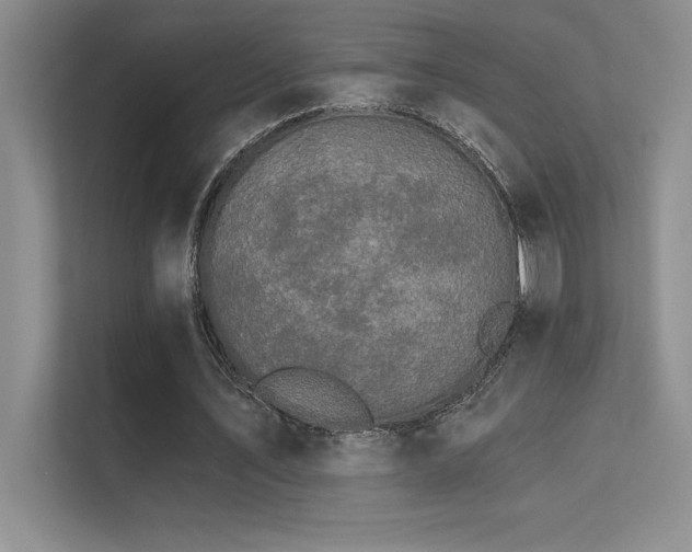 X0000112430579200908141433