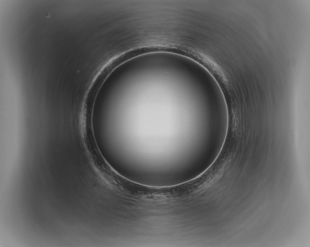 X0000112430580200908141433