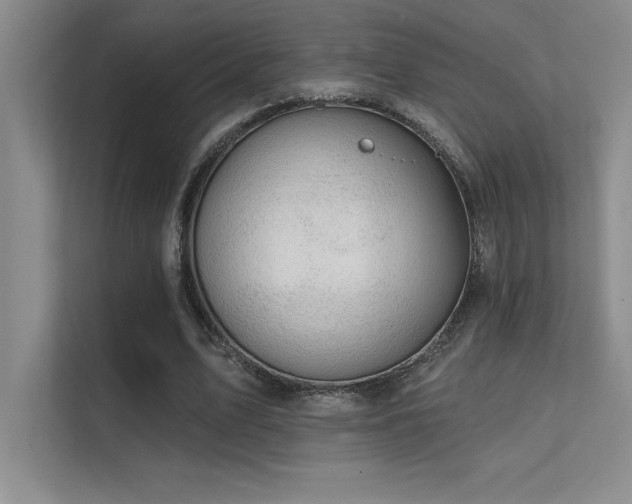 X0000112430583200908141433