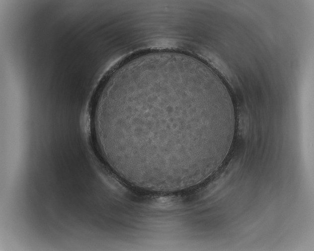 X0000112430584200908141433