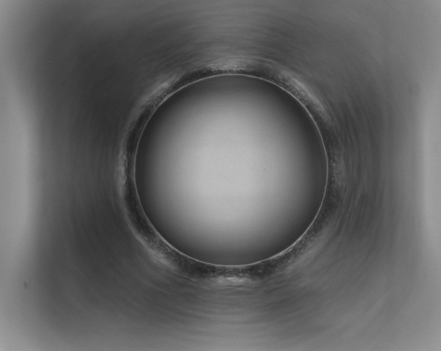 X0000112430586200908141432