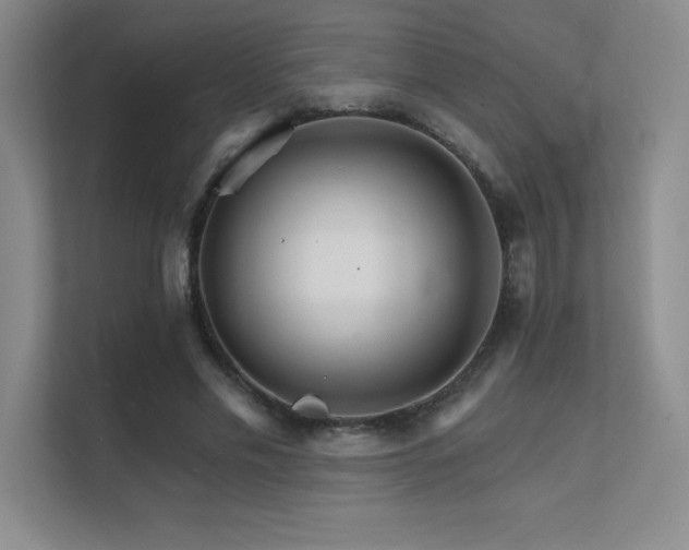 X0000112430589200908141432