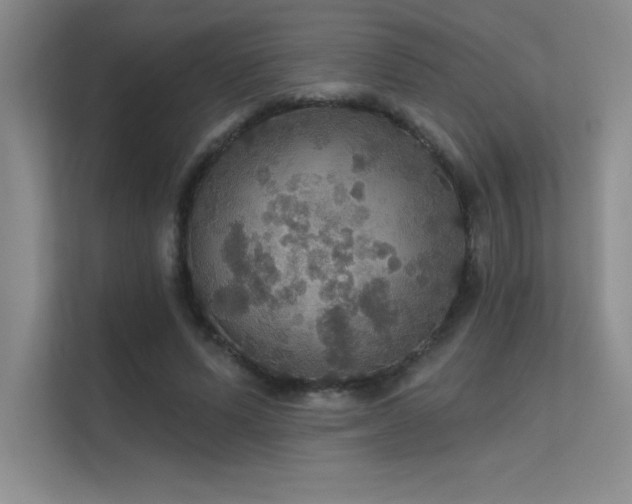 X0000112430591200908141432