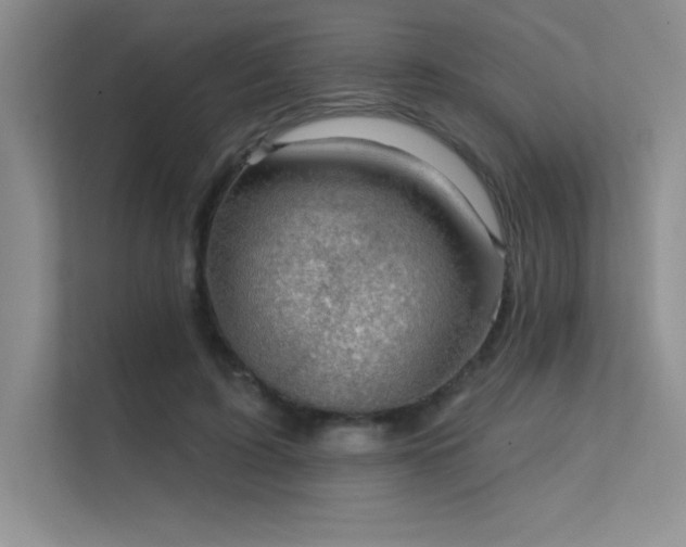 X0000112430595200908141432