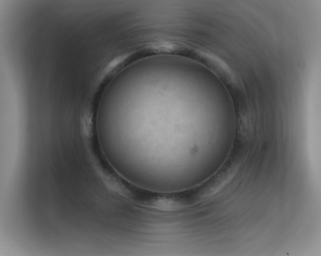 X0000112430596200908141432
