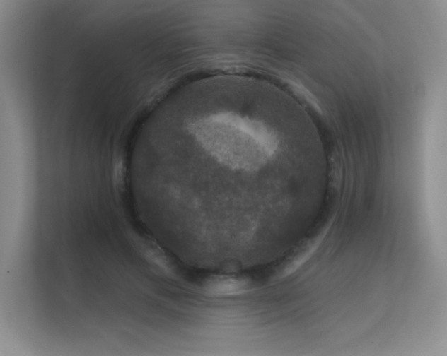 X0000112430597200908141432