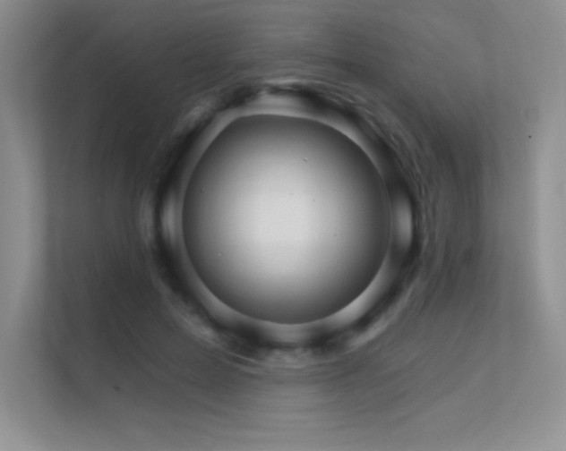 X0000112430599200908141432