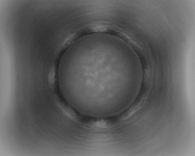 X0000112430600200908141432