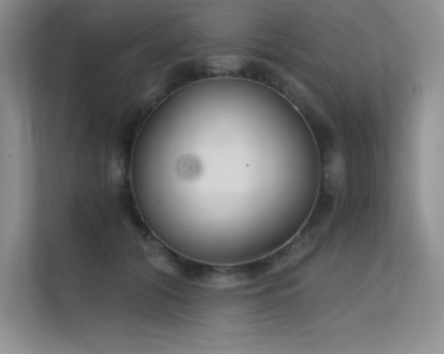 X0000112430608200908141432
