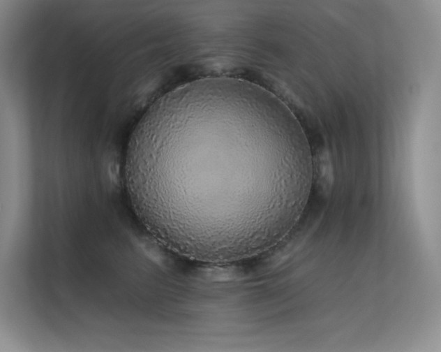 X0000112430615200908141432