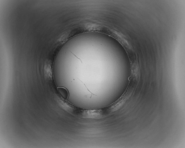 X0000112430622200908141432