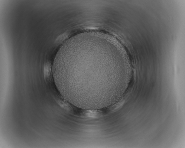 X0000112430623200908141432