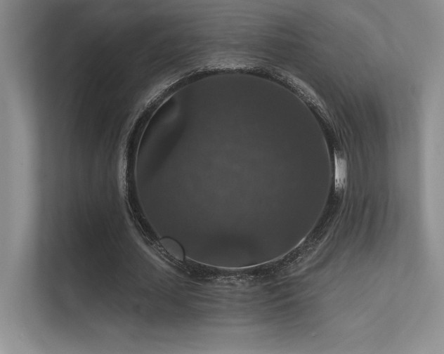 X0000112430627200908141431