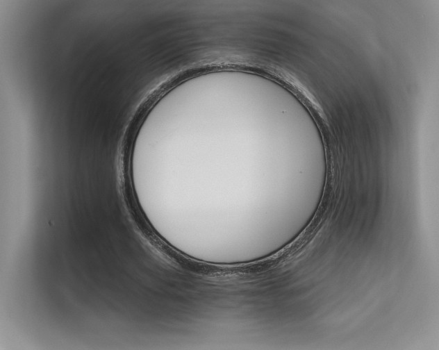 X0000112430629200908141431