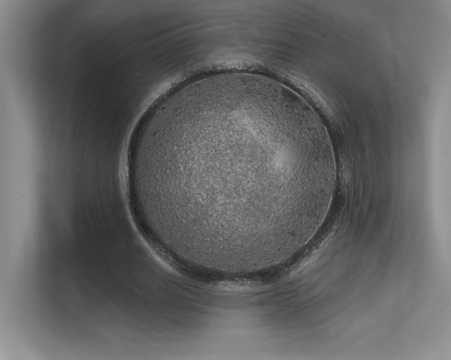 X0000112430630200908141431