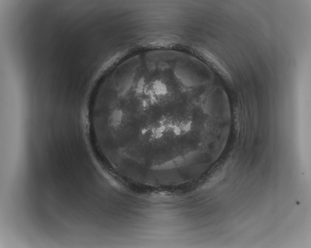 X0000112430634200908141431