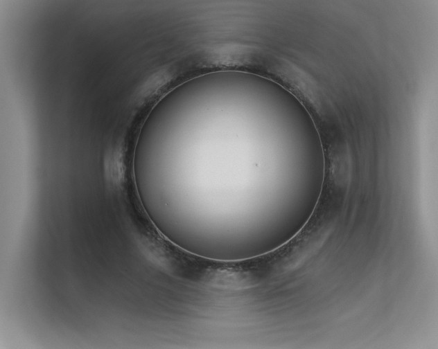 X0000112430635200908141432