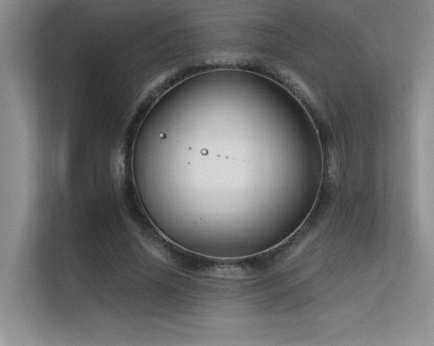 X0000112430636200908141432