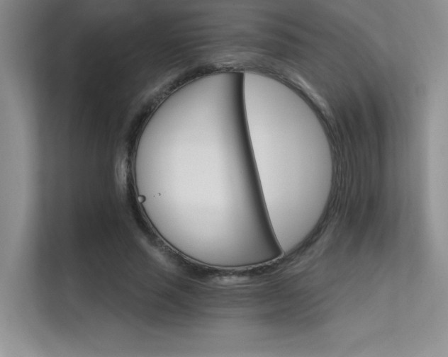 X0000112430637200908141432