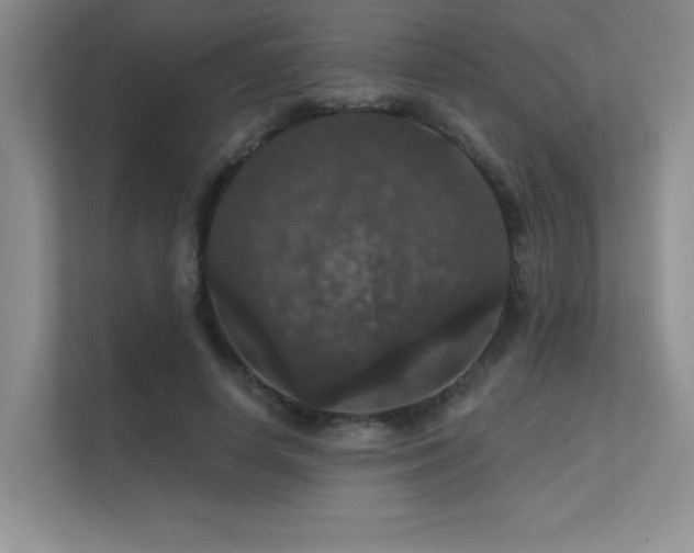 X0000112430642200908141432