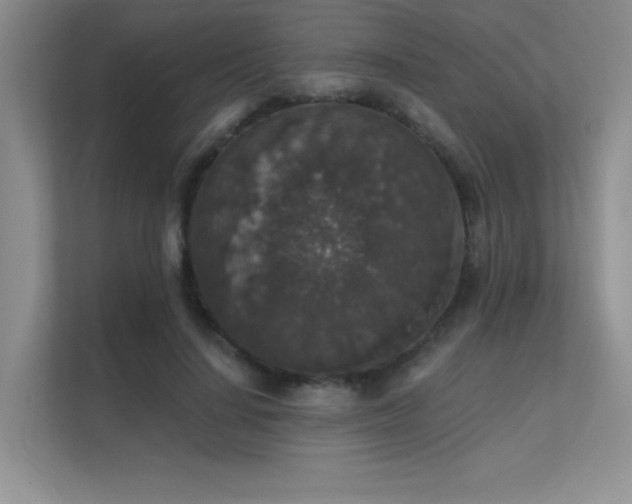 X0000112430644200908141432