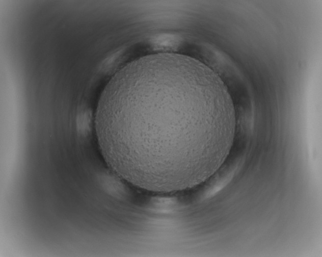 X0000112430649200908141432