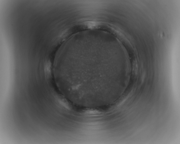 X0000112430650200908141432